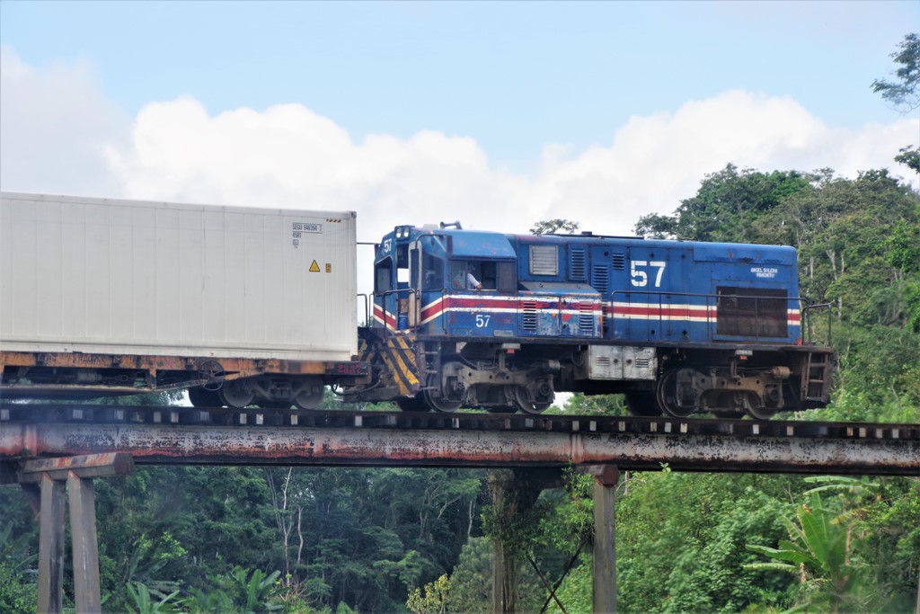 Banana Train (10) Postcards from the Transition