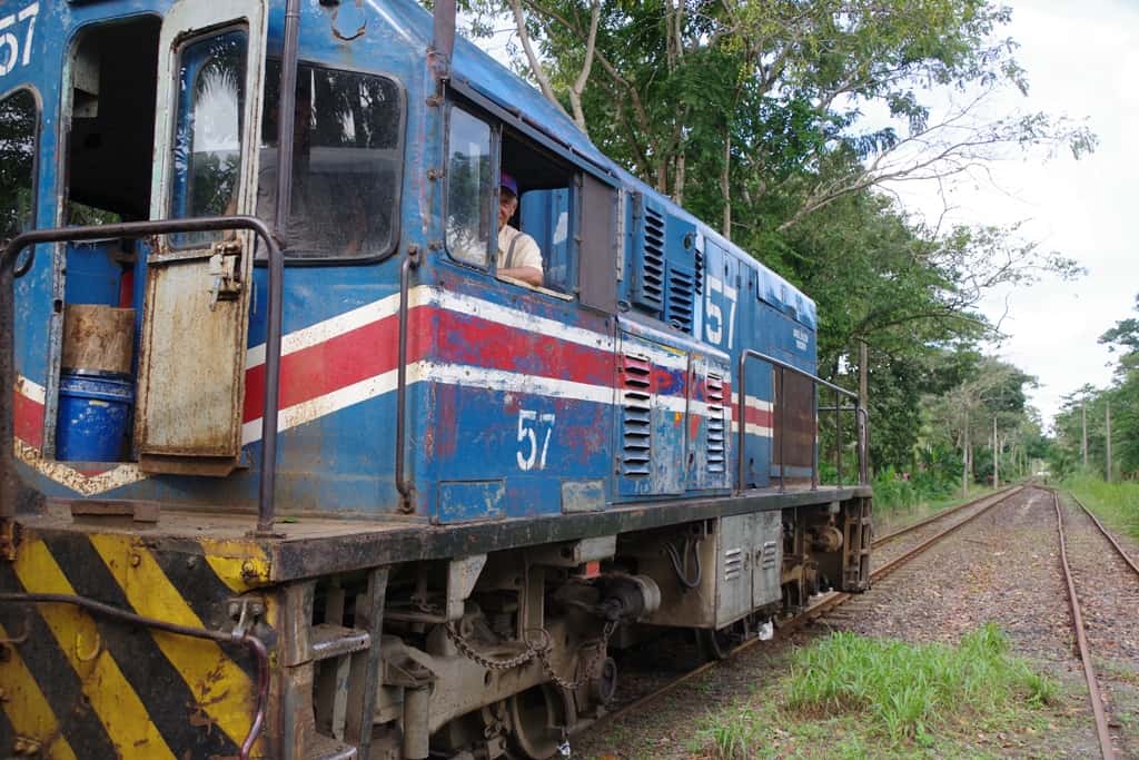 Banana Train (6) Postcards from the Transition